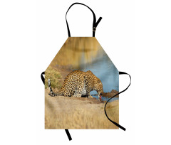 Leopard in Safari Apron