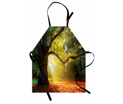 Oak Autumn Leaves Hazy Apron