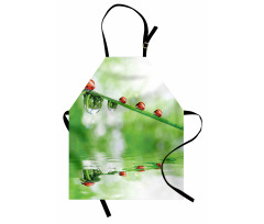 Ladybug on Water Image Apron