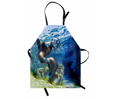 Playful Sea Lions Apron