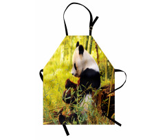 Hayvan Deseni Mutfak Önlüğü Bambu Yiyen Panda