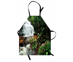 Jungle Trees and Waterfall Apron