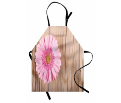 Pink Gerber on Wooden Apron