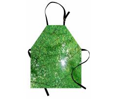 Sun with Tree Branches Apron