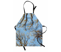 Vibrant Sky with Trees Apron