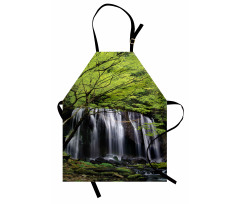 Rock Tree in Waterfall Apron