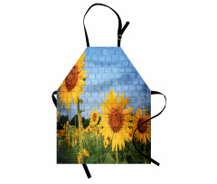Sunflowers on the Wall Apron