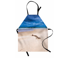 Deserted Sandy Beach Apron