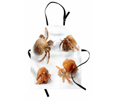 Hayvan Deseni Mutfak Önlüğü Deniz Böcekleri
