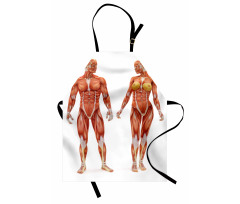 Male Human Body Apron