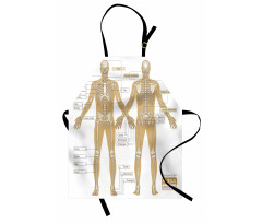 Human Skeleton System Apron