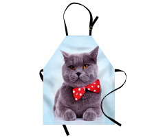 Grey Scottish Fold Theme Apron