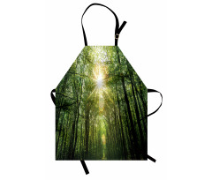 Summer Trees Upward View Apron