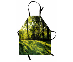 Rising Sun Beams Forest Apron