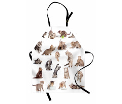 Funny Playful Cats Image Apron