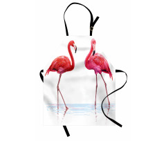 Exotic Flamingos on Sea Apron