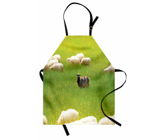 Black Sheep White Goats Apron