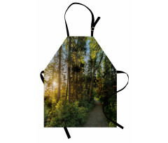 National Park Trees Path Apron