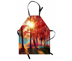 Foggy Autumnal Park Scenic Apron