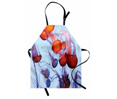 Jellyfish in the Ocean Apron