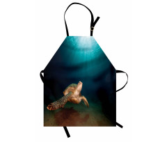 Green Turtle Sunbeam Apron