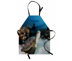 Turtle Coral Reef Apron