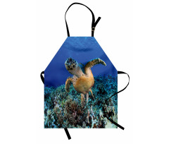 Cheloniidae Deep Ocean Apron