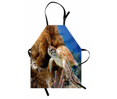 Tropic Waters Coral Reef Apron