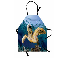 Hawksbill Sea Turtle Apron