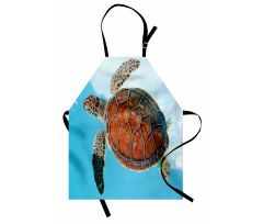Deniz Canlısı Mutfak Önlüğü Kahverengi Kaplumbağa
