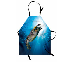 Sea Turtle Diving Apron