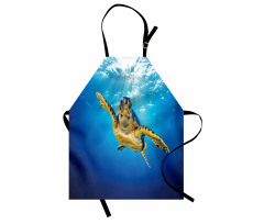 Blue Waters Swimming Apron