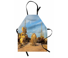 Saguaros Boulders Sunset Apron