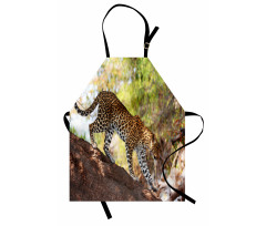 Leopard Tree Nature Reserve Apron