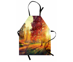 Misty Day in the Forest Apron