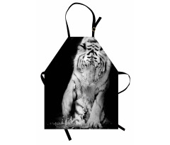 Large Cat Plays in Water Apron