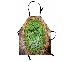 Aloe Polyphylla Vera Apron