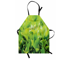 Lush Green Leaves Apron