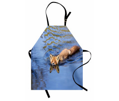 Fox Swimming in River Apron