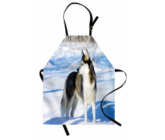 Husky on Snow Apron