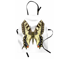 Old Papilio Apron