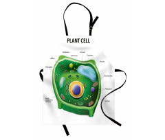 Cell Biology Plant Apron