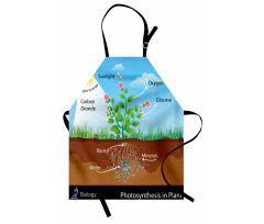 Plant Diagram Style Apron