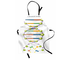 Öğretici Mutfak Önlüğü Gen ve DNA