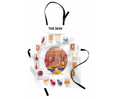 Skin Anatomy Veins Apron