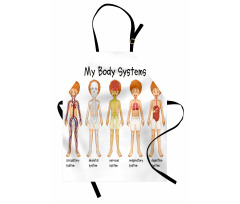 Biyoloji Mutfak Önlüğü Vücudun Sistemleri