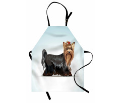 Bow Head Meshed Colors Apron