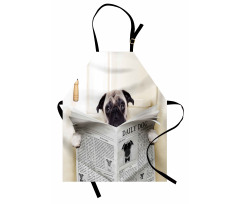 Pug Köpek Mutfak Önlüğü Tuvalette Sevimli Minik Hayvan Görseli 