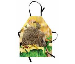 Little Hedgehog Apron