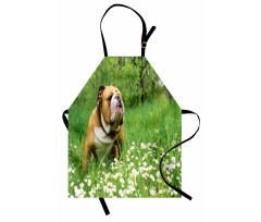 Blossom Daisies Apron